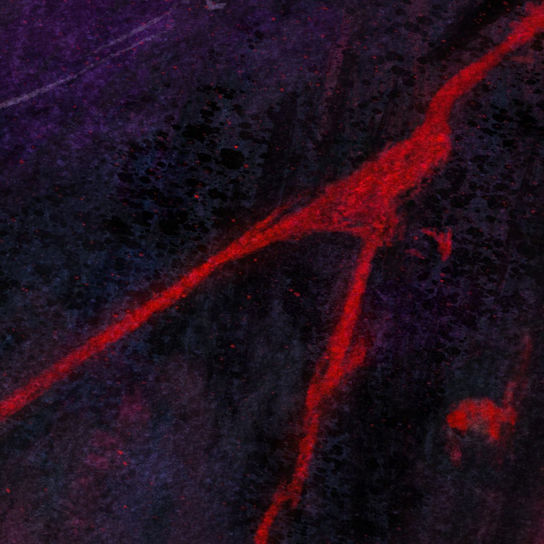 The music that built Noir Labs